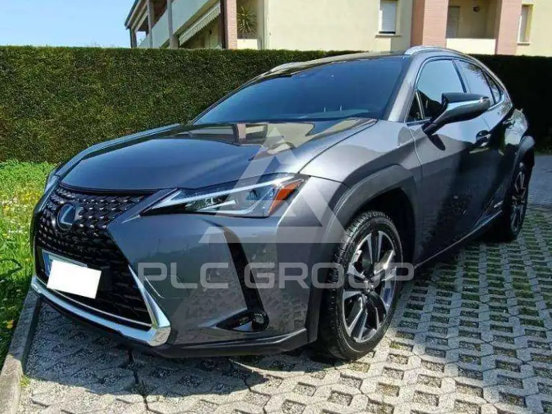 2019 Lexus UX250