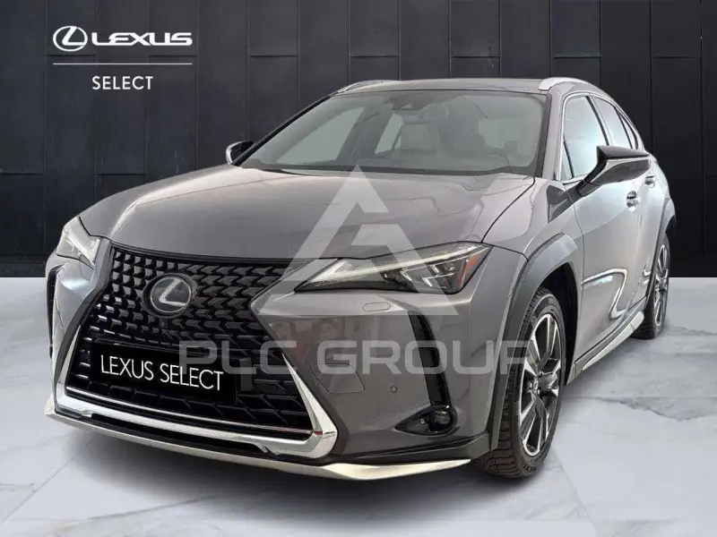 2019 Lexus UX200