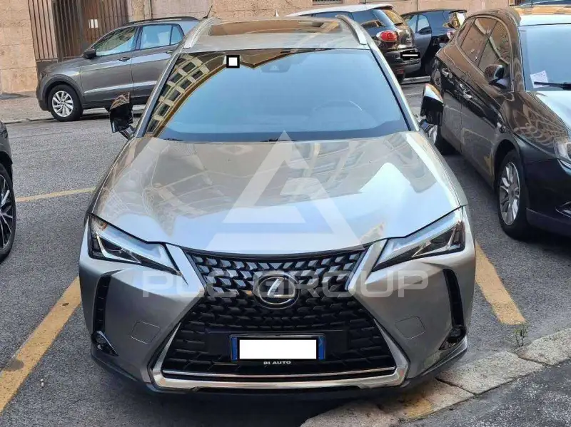 2019 Lexus UX250