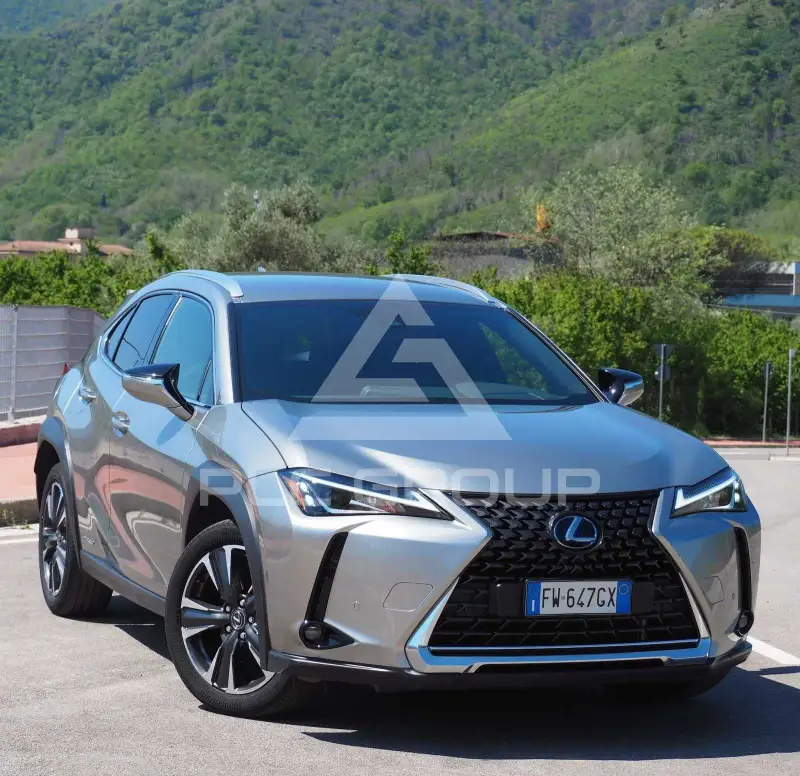 2019 Lexus UX200