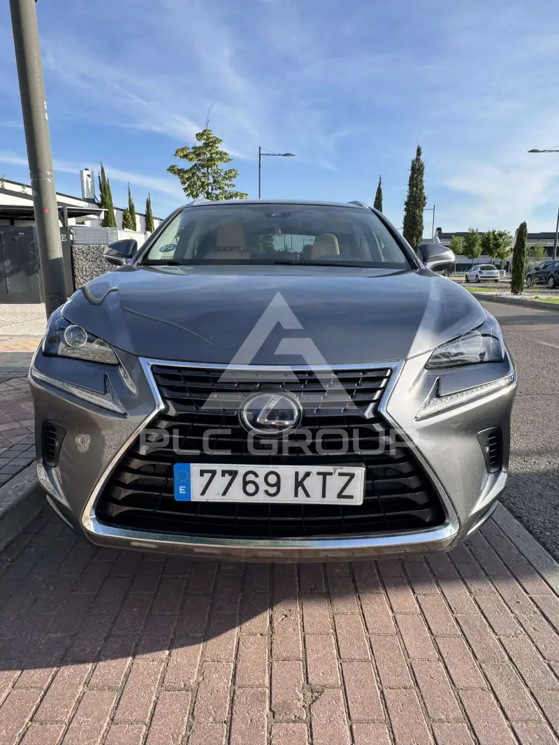 2019 Lexus NX300
