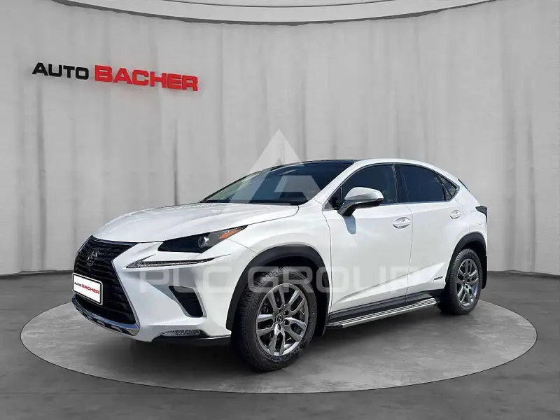 2019 Lexus NX300