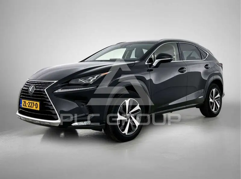 2019 Lexus NX300