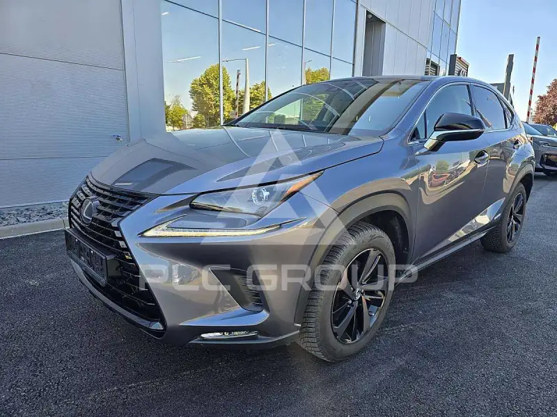 2019 Lexus NX300