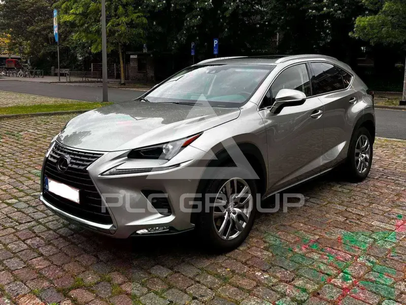 2019 Lexus NX300