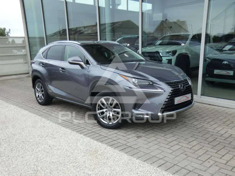2019 Lexus NX300