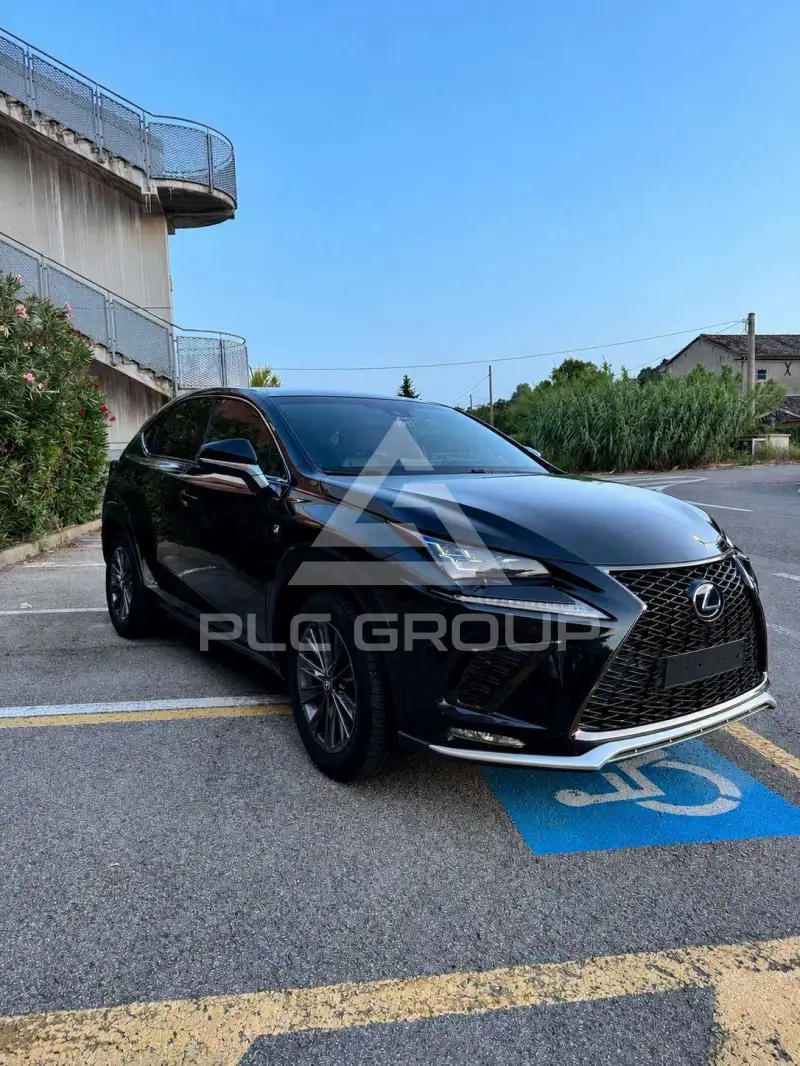 2019 Lexus NX300