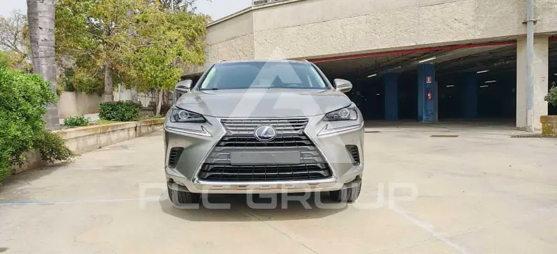 2019 Lexus NX300