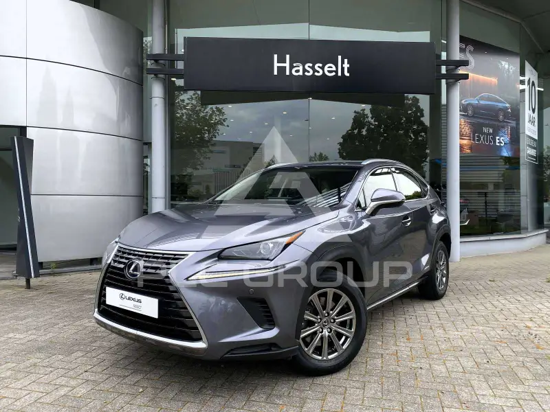 2019 Lexus NX300
