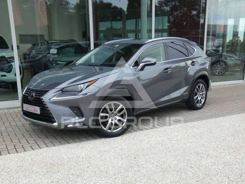 2019 Lexus NX300