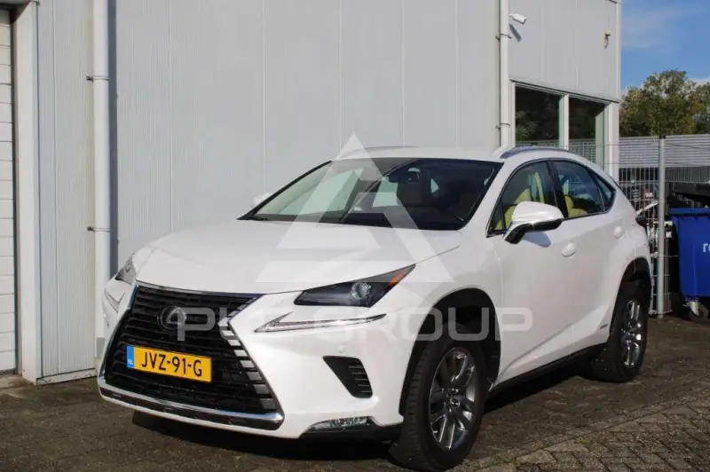 2019 Lexus NX300