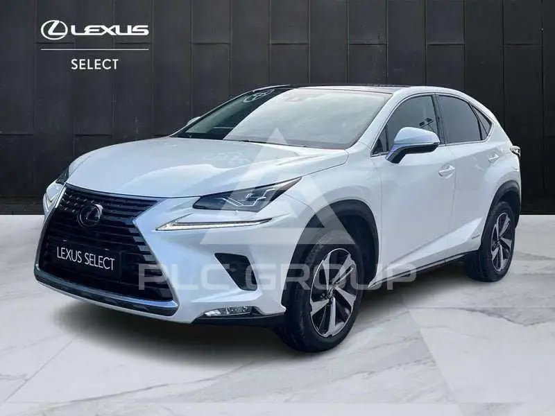 2019 Lexus NX300