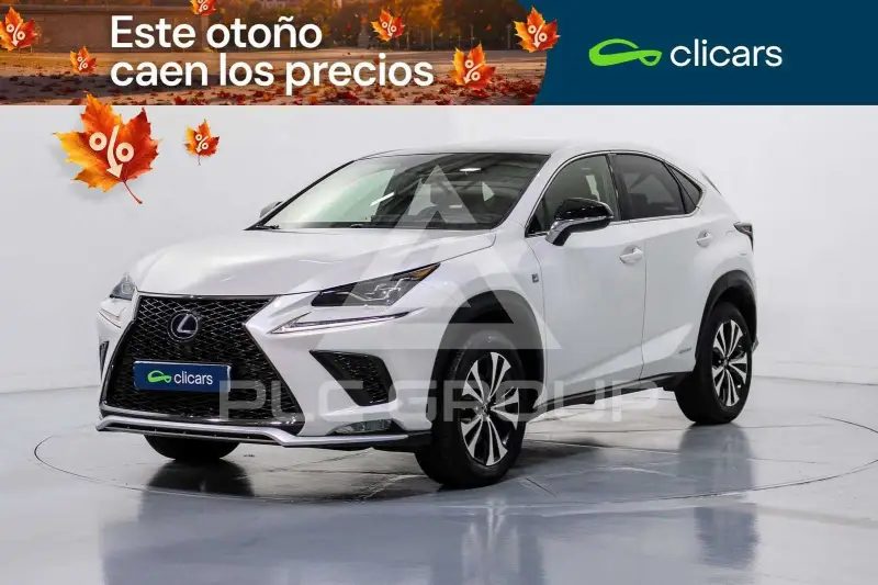 2019 Lexus NX300