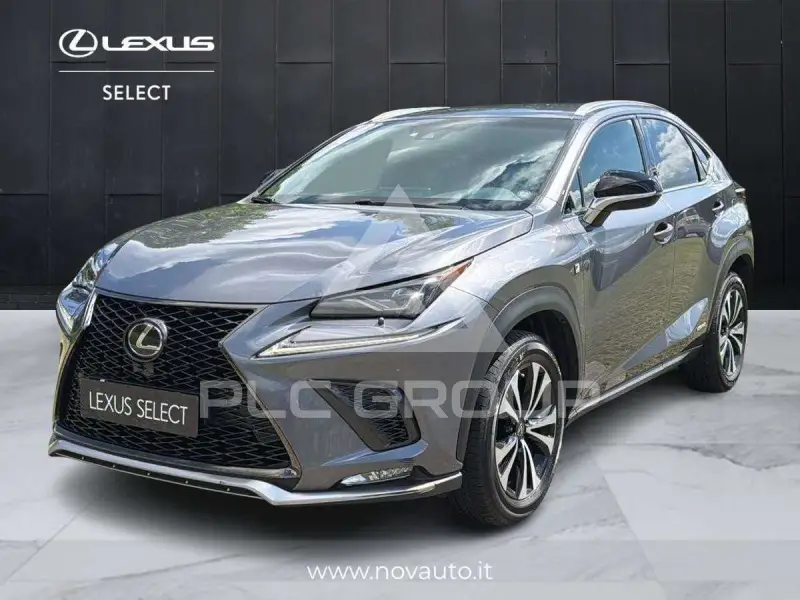 2019 Lexus NX300