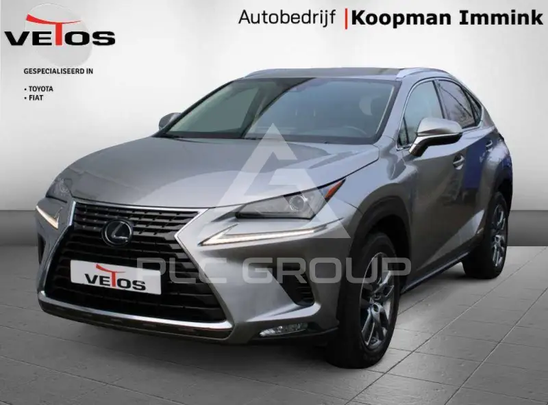 2019 Lexus NX300