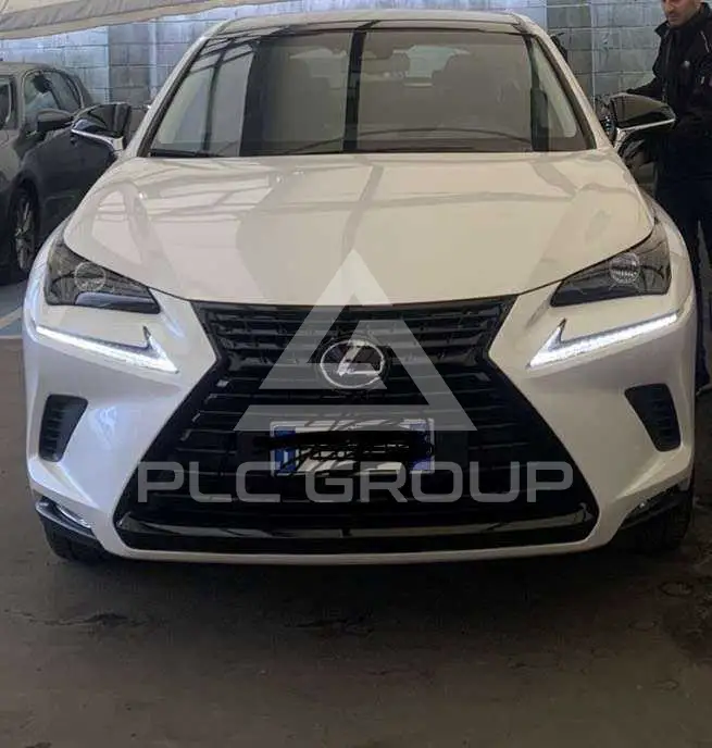 2019 Lexus NX300
