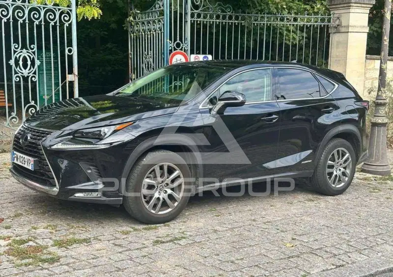 2019 Lexus NX300