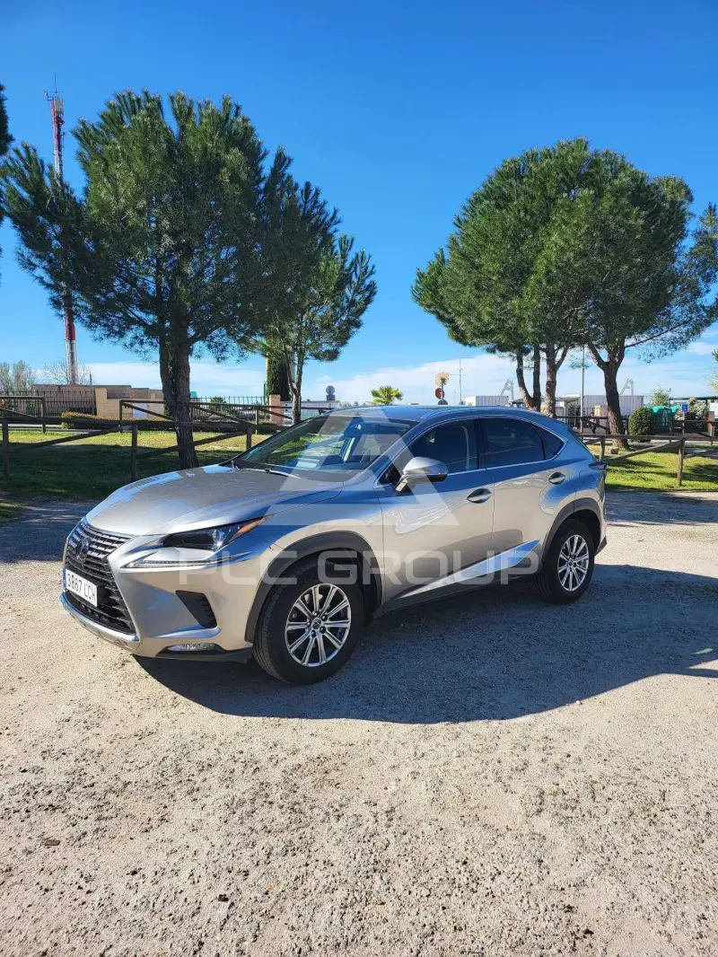 2019 Lexus NX300