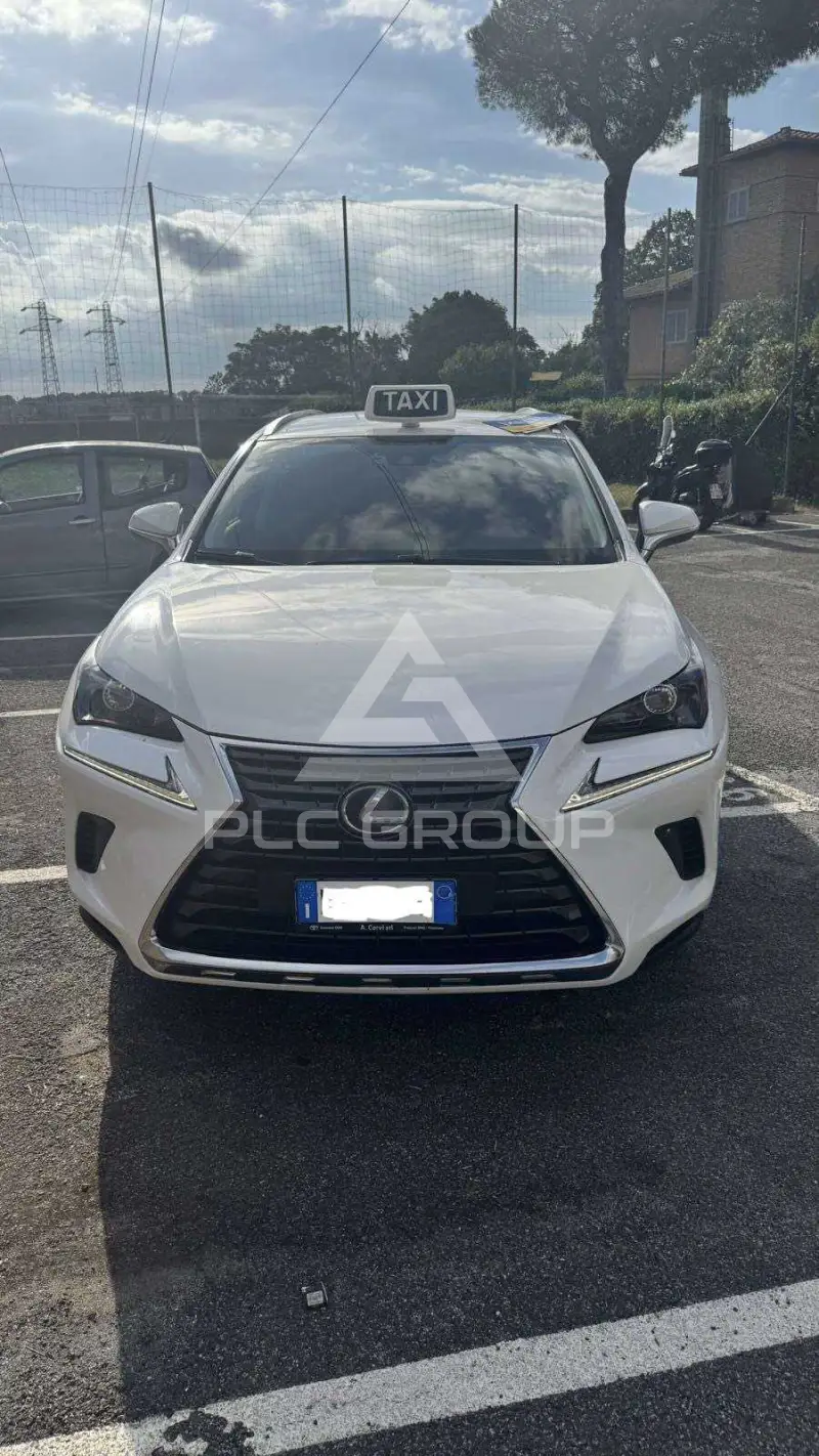 2019 Lexus NX300