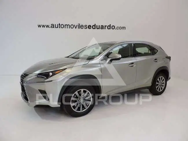 2019 Lexus NX300