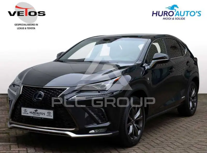 2019 Lexus NX300