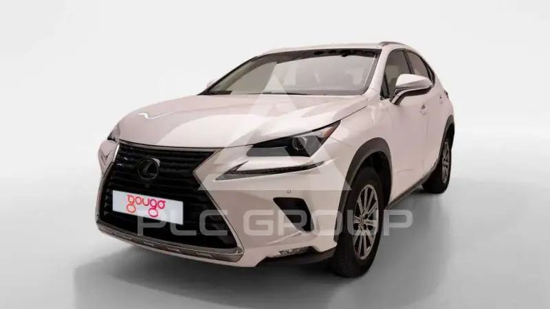 2019 Lexus NX300