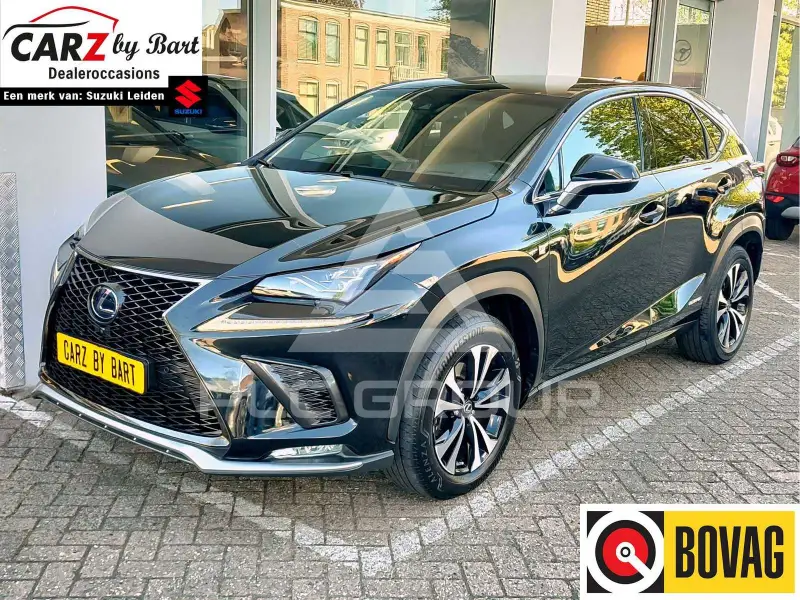 2019 Lexus NX300