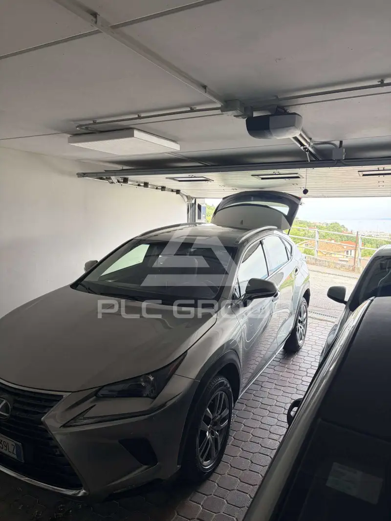 2019 Lexus NX300