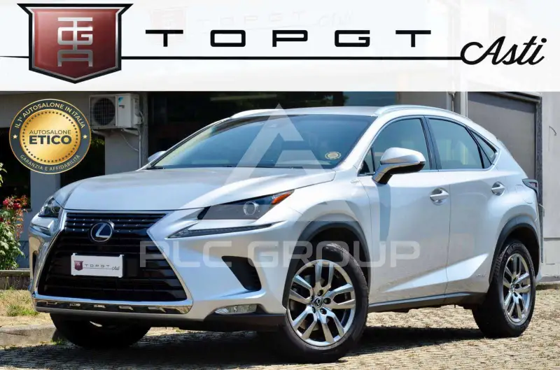 2019 Lexus NX300