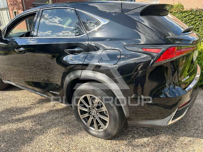 2019 Lexus NX300