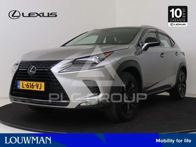 2019 Lexus NX300