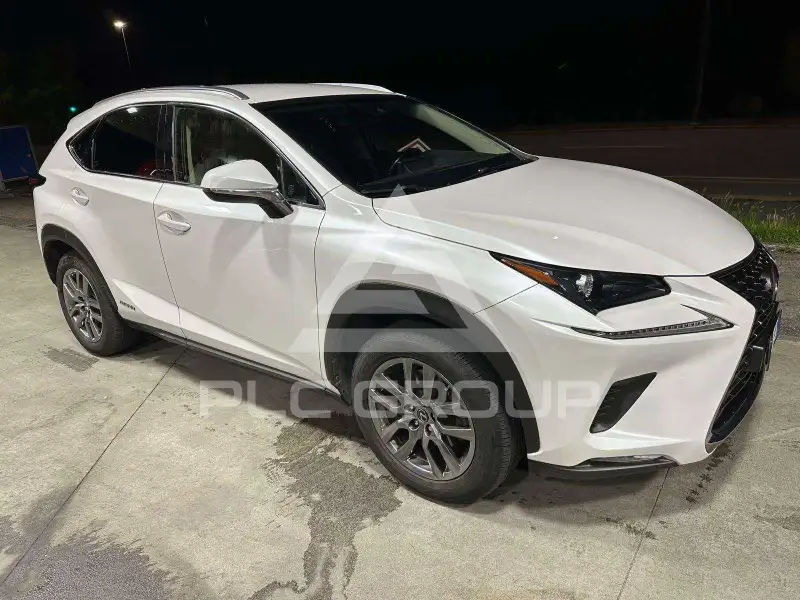 2019 Lexus NX300