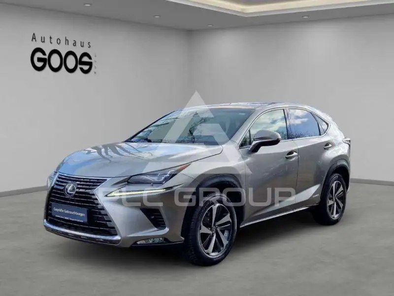 2019 Lexus NX300