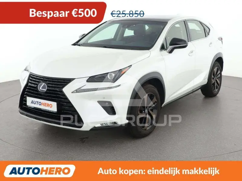 2019 Lexus NX300