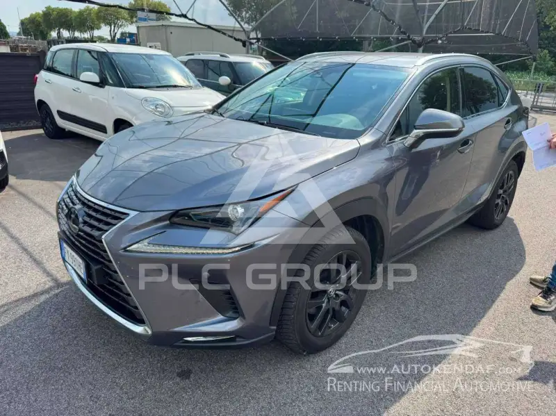 2019 Lexus NX300