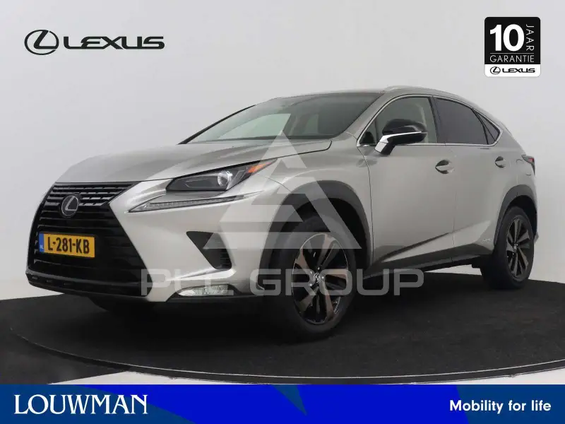 2019 Lexus NX300