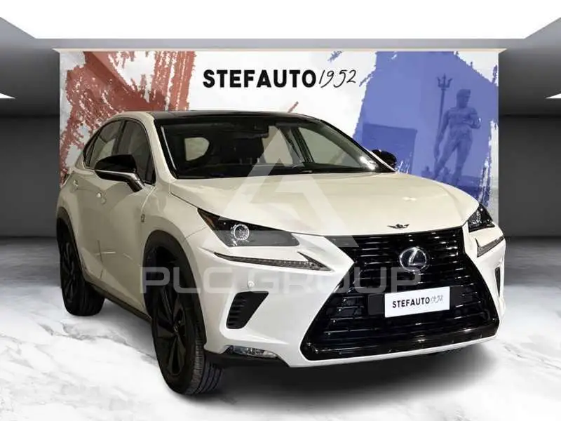 2019 Lexus NX300