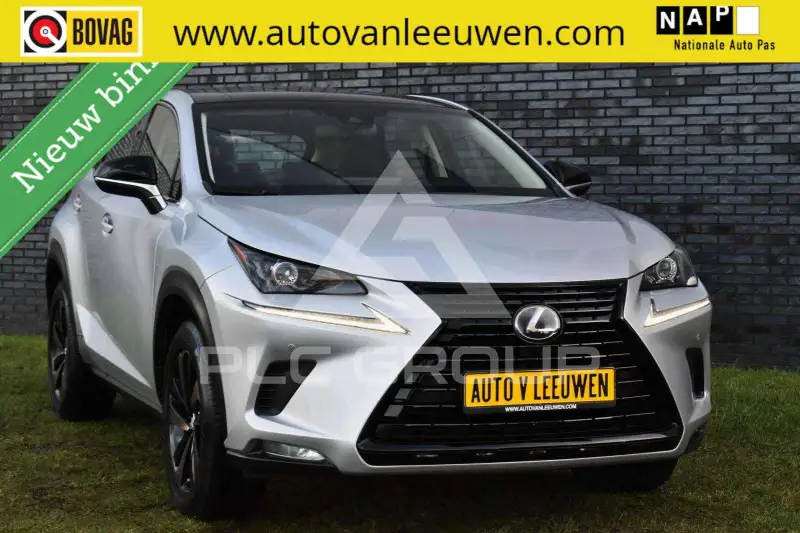 2019 Lexus NX300