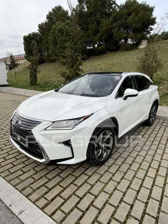 2019 Lexus RX450