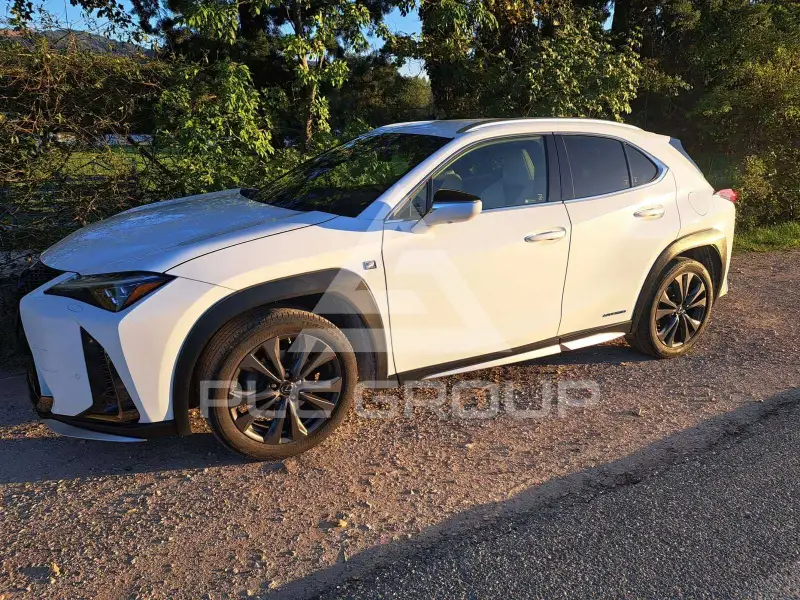 2019 Lexus Other