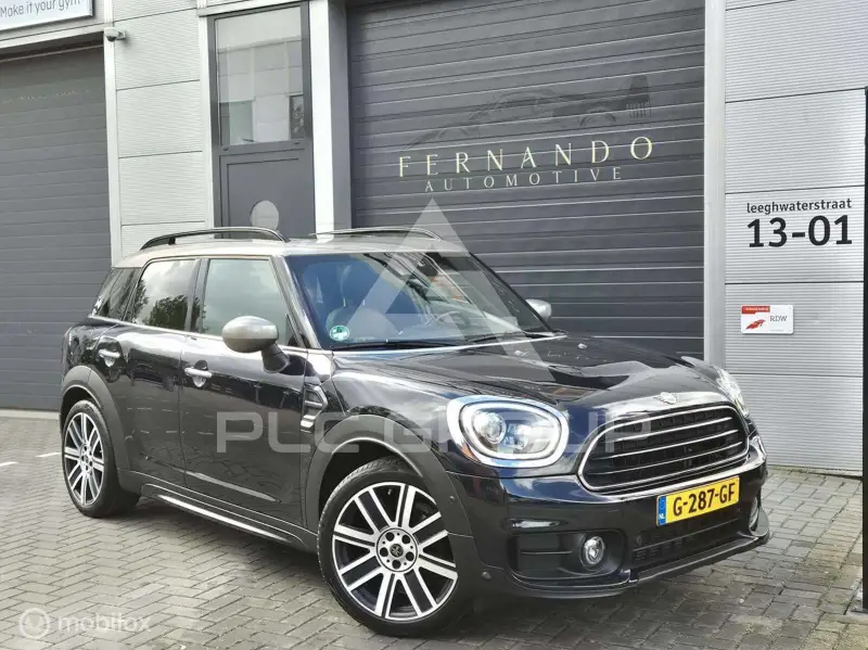 2019 Mini Unknown