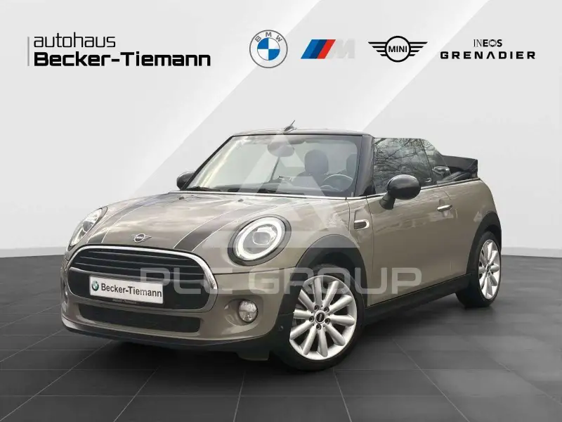 2019 Mini 