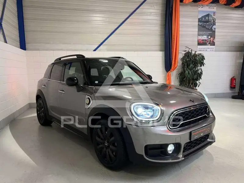 2019 Mini Unknown