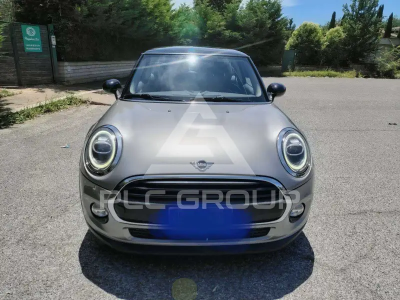 2019 Mini Unknown