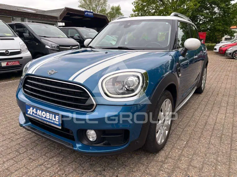 2019 Mini 