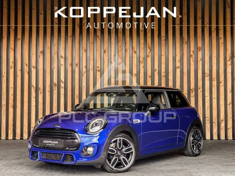 2019 Mini Unknown