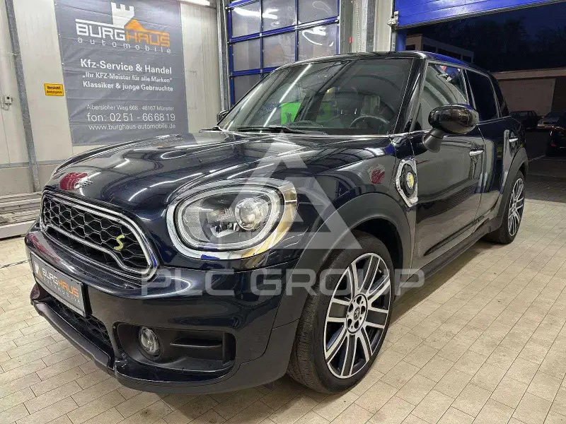 2019 Mini Unknown