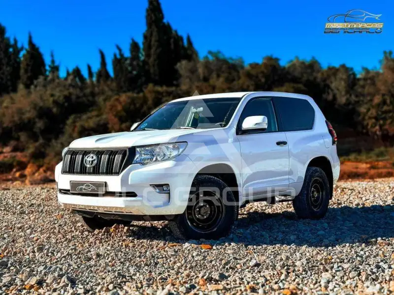 2019 Toyota LAND CRUISER