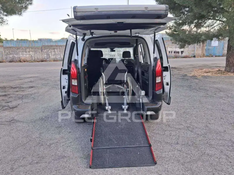 2019 Peugeot Rifter