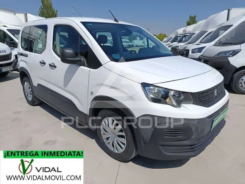 2019 Peugeot Rifter